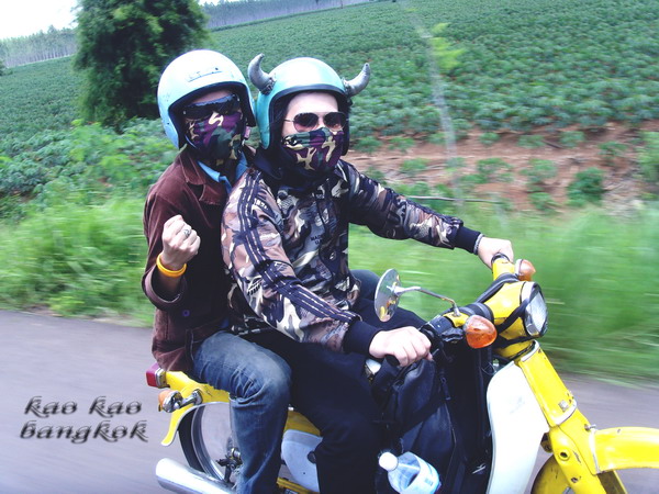 Name:  445111.jpg
Views: 2129
Size:  116.1 KB