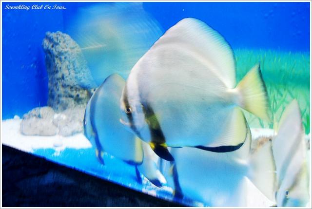 Name:  55555DSC_1361.jpg
Views: 1099
Size:  34.8 KB