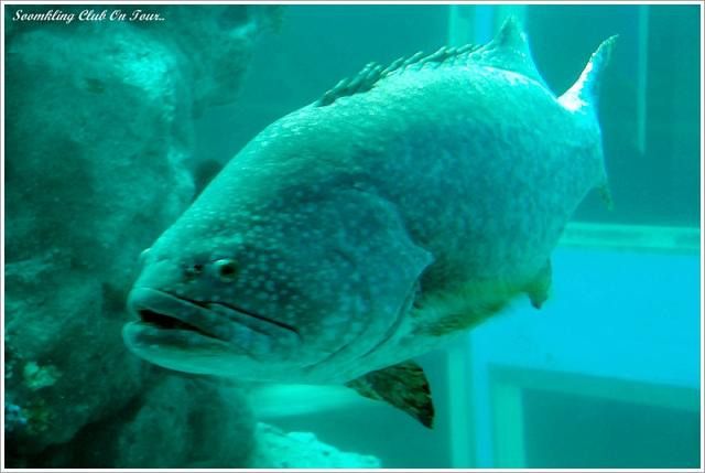 Name:  55555DSC_1373.jpg
Views: 1110
Size:  32.2 KB