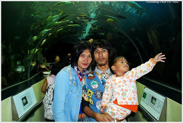 Name:  55555DSC_1382.jpg
Views: 421
Size:  53.7 KB