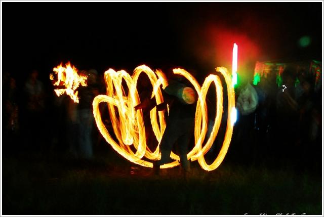 Name:  55555DSC_1498.jpg
Views: 413
Size:  31.2 KB