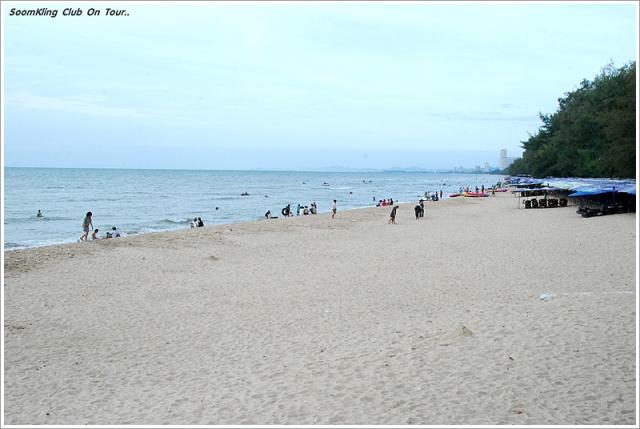 Name:  55555DSC_1554.jpg
Views: 418
Size:  36.0 KB
