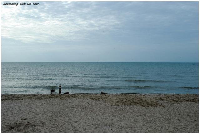 Name:  55555DSC_1555.jpg
Views: 420
Size:  39.9 KB