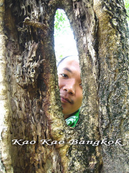 Name:  569.jpg
Views: 409
Size:  143.6 KB