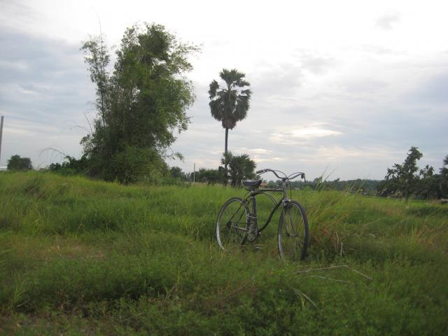 Name:  IMG_1554.jpg
Views: 194
Size:  39.4 KB