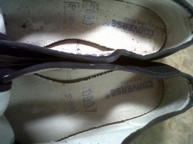 Name:  IMG06679-20120825-1310.jpg
Views: 63
Size:  38.8 KB