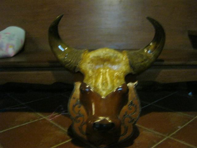 Name:  IMG_1364.jpg
Views: 1767
Size:  29.5 KB