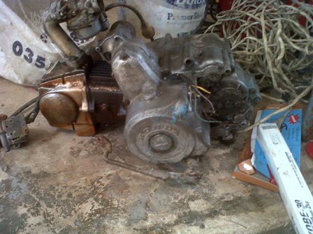 Name:  IMG00499-20120827-1337.jpg
Views: 194
Size:  47.5 KB