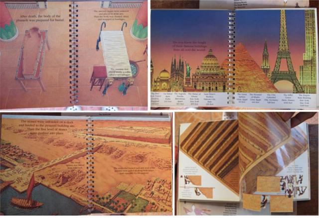 Name:  a246.jpg
Views: 1398
Size:  51.2 KB