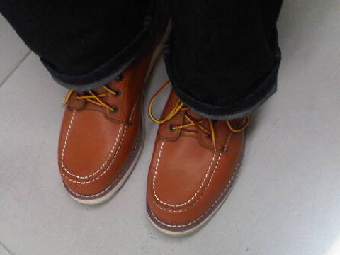 Name:  IMG00044-20120829-1624.jpg
Views: 874
Size:  16.1 KB