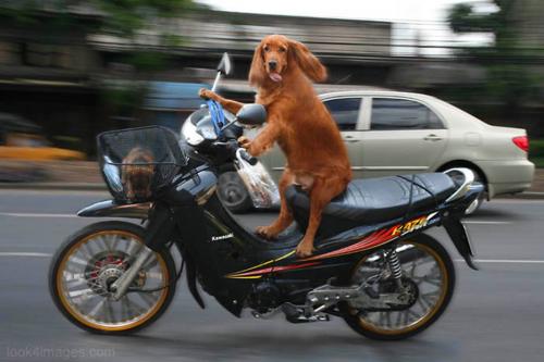 Name:  577141_18488946.jpg
Views: 68
Size:  27.7 KB