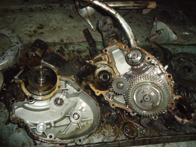 Name:  DSC09939.JPG
Views: 3014
Size:  118.2 KB