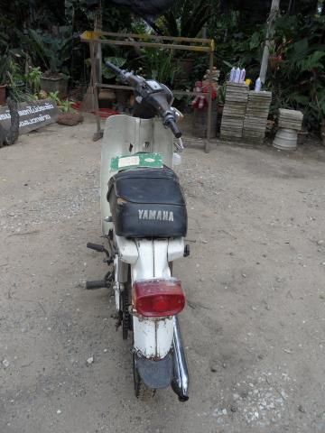 Name:  SAM_9022.jpg
Views: 721
Size:  31.6 KB