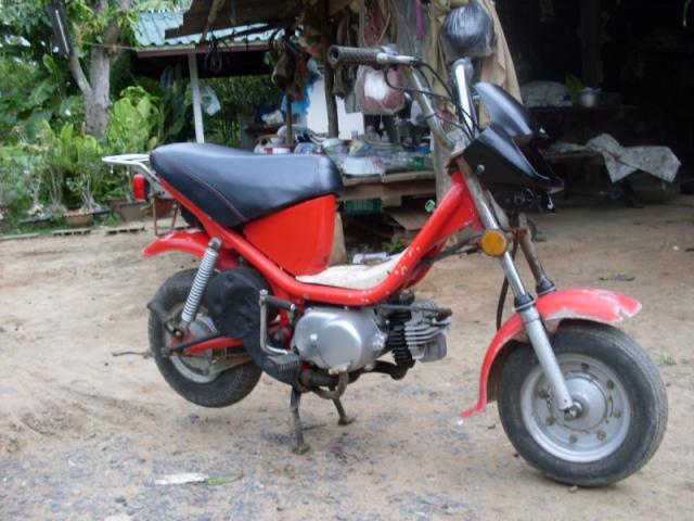 Name:  SDC10976.jpg
Views: 105
Size:  51.1 KB