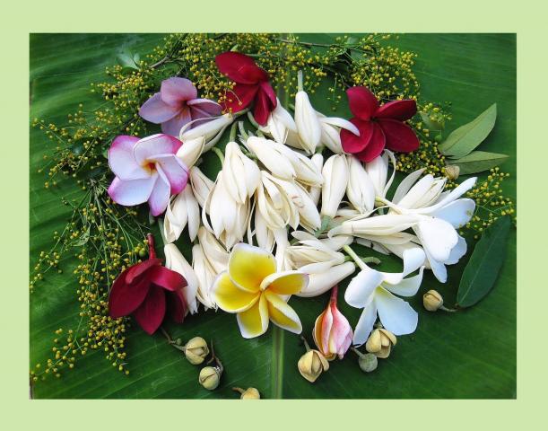 Name:  001.jpg
Views: 158
Size:  54.6 KB