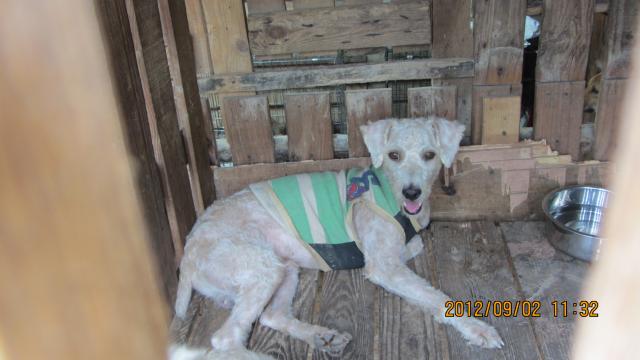 Name:  IMG_2552.jpg
Views: 162
Size:  32.2 KB