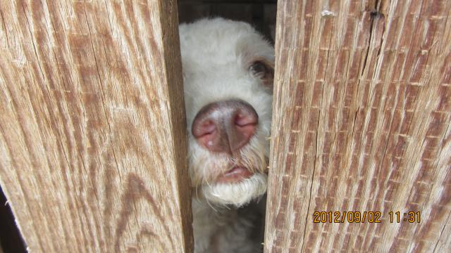 Name:  IMG_2551.jpg
Views: 151
Size:  50.2 KB