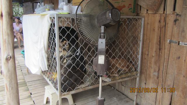 Name:  IMG_2547.jpg
Views: 155
Size:  44.7 KB