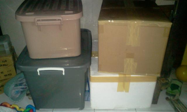 Name:  2012-09-07 08.00.26.jpg
Views: 515
Size:  21.6 KB