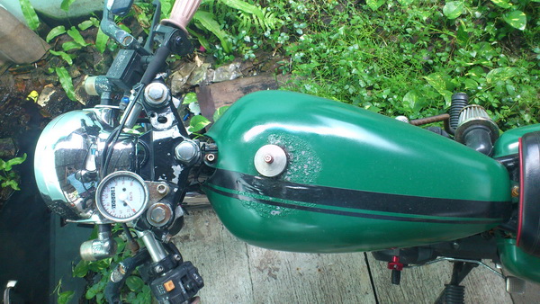 Name:  DSC_0099.jpg
Views: 5184
Size:  128.4 KB