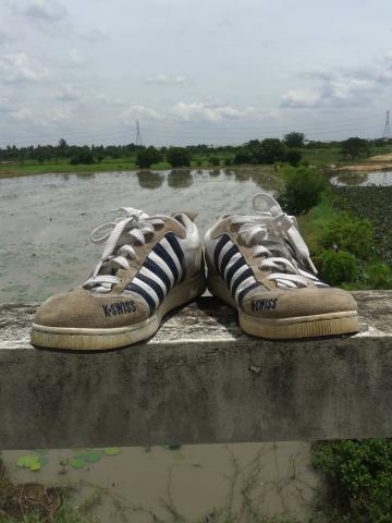 Name:  20120909_113848.jpg
Views: 689
Size:  25.7 KB