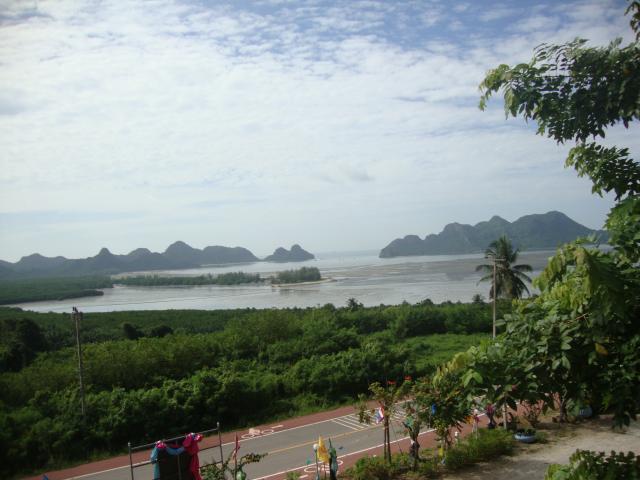 Name:  DSC08965.jpg
Views: 355
Size:  43.1 KB
