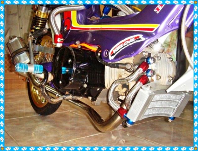 Name:  DSC06774.jpg
Views: 348
Size:  66.7 KB