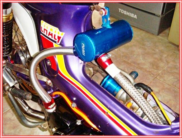 Name:  DSC06777.jpg
Views: 312
Size:  67.2 KB