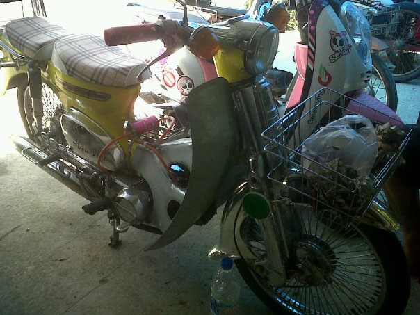 Name:  295098_399221760134516_1045163238_n.jpg
Views: 492
Size:  63.4 KB