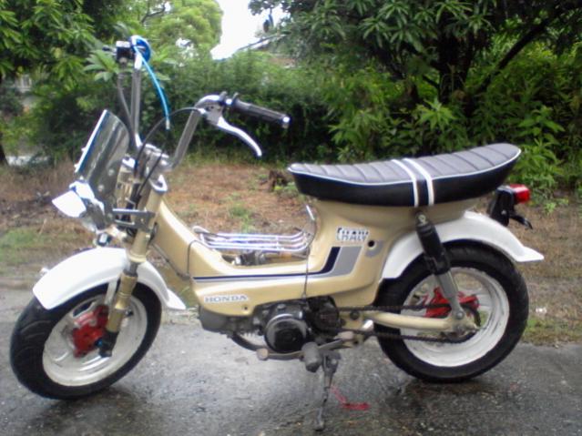 Name:  Photo-0351.jpg
Views: 283
Size:  55.6 KB