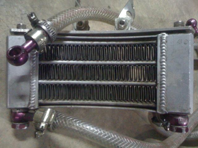 Name:  IMG_0597.jpg
Views: 5032
Size:  44.1 KB