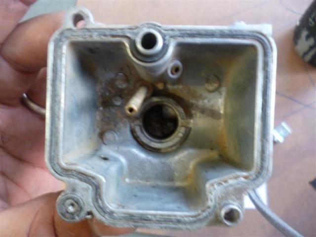 Name:  P1020389 (Medium).jpg
Views: 1349
Size:  32.6 KB