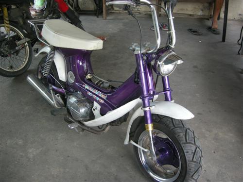 Name:  DSCN0522 (Custom).JPG
Views: 1438
Size:  37.2 KB