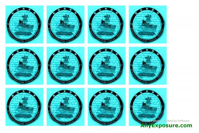 Name:  ID_1.5-20_54_53.jpg
Views: 39
Size:  57.1 KB