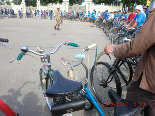 Name:  CIMG4995.jpg
Views: 371
Size:  52.6 KB