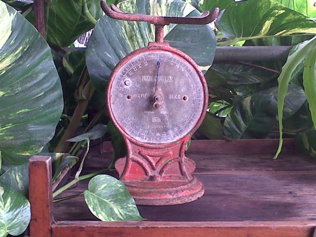 Name:  IMG00095-20120925-1300.jpg
Views: 510
Size:  59.9 KB