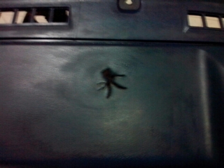 Name:  1348756035036.jpg
Views: 876
Size:  51.0 KB