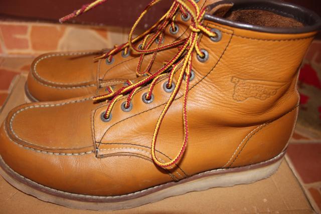 Name:  IMG_1480.jpg
Views: 972
Size:  43.6 KB