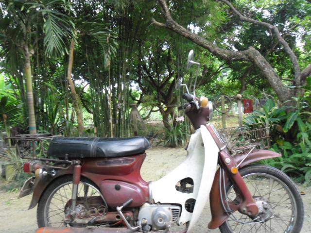 Name:  SAM_2761.jpg
Views: 233
Size:  71.4 KB
