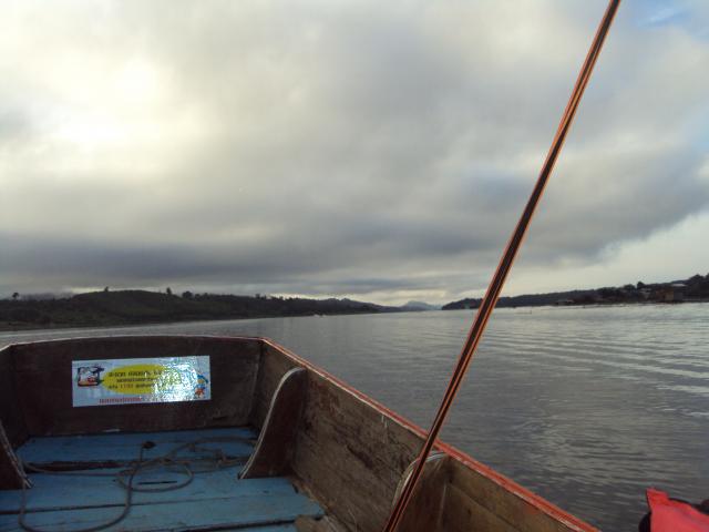 Name:  DSC04234.jpg
Views: 1204
Size:  28.4 KB