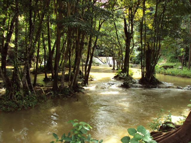 Name:  DSC04281.jpg
Views: 1133
Size:  78.8 KB