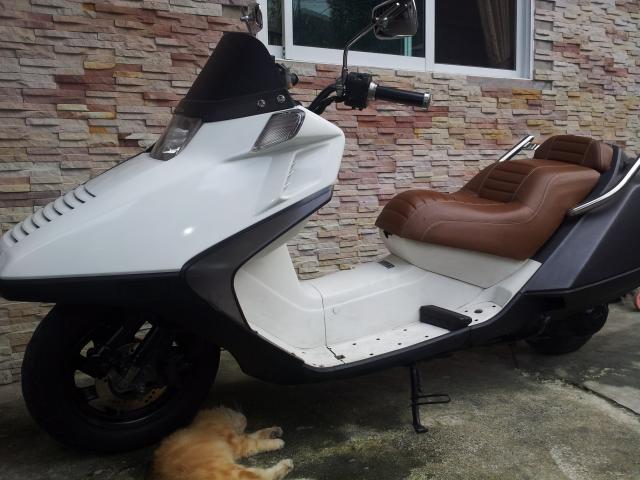 Honda fusion 250
