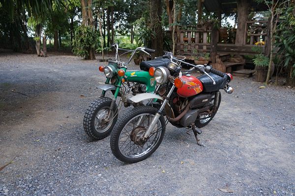 Name:  kmDSC01535.JPG
Views: 567
Size:  111.1 KB