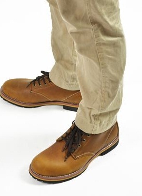 Name:  redwing.jpg
Views: 112
Size:  29.4 KB