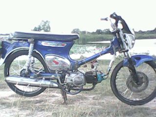 Name:  IMG0233A.jpg
Views: 374
Size:  19.0 KB