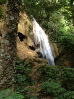 Name:  photo (1).JPG
Views: 730
Size:  66.2 KB