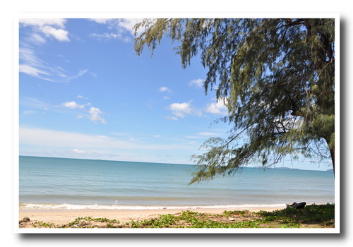 Name:  DSC_6036_resize(2).jpg
Views: 155
Size:  110.6 KB