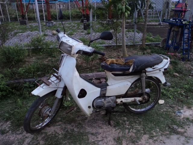 Name:  ดรีมคุรุ.jpg
Views: 1680
Size:  61.5 KB