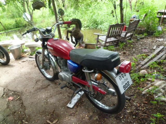 Name:  P1070394.jpg
Views: 483
Size:  69.0 KB