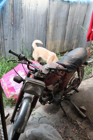 Name:  222.jpg
Views: 296
Size:  34.8 KB